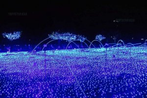 Pemandangan Starlight Garden dari samping di Tokyo Midtown Illumination