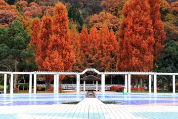 <p>Fukui City Culture Park is located at the foot of colorful Mount Hachiman</p>