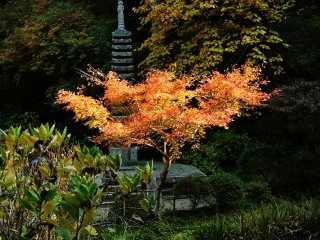 Каменная пагода Дзюсандзё также является важной культурной ценностью.
