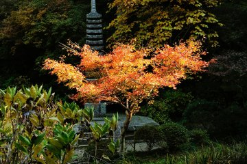 <p>Каменная пагода Дзюсандзё также является важной культурной ценностью.</p>