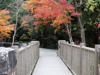 The bridge leading back to the spring itself