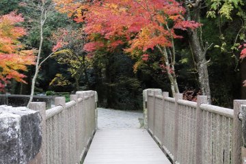 <p>The bridge leading back to the spring itself</p>