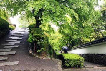 <p>One of the many switchbacks between the bottom gate and the temple proper. If you are so unfit that you die making this ascent, at least you die happy in the knowledge that you have seen one of the most beautiful gardens in Japan.</p>