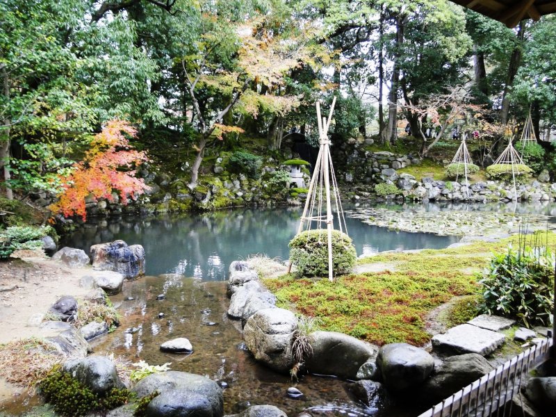 <p>The small garden at the Shigure-tei&nbsp;Teahouse on the grounds of Kenroku-en</p>