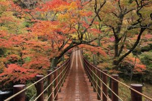 Hananuki Valley in full autumn colors