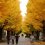  Musim Gugur di Universitas Tokyo