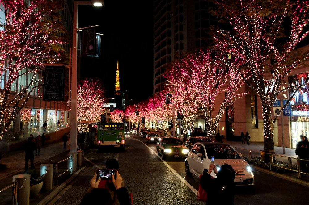 Could glowing trees replace streetlights ? - kobi lighting studio