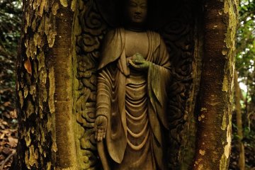 <p>The &#39;Living Jizo&#39; is 60 cm high and 20cm wide</p>