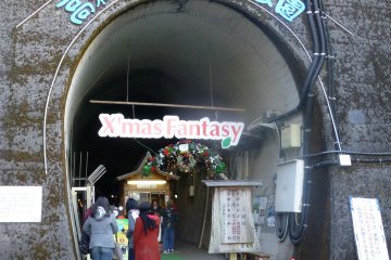 <p>&nbsp;The entrance to the Christmas display is&nbsp;&yen;300</p>