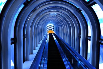 <p>Near the top of the building there is an escalator which connects twin buildings</p>