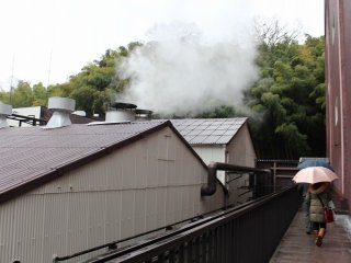 発酵室から出る湯気がいかにも蒸溜所の雰囲気だ。普段はなかなか目にすることができない景色である