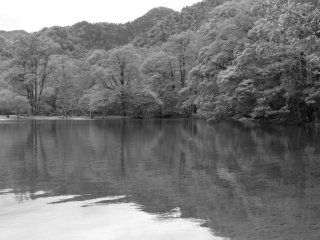 湖は、一分の隙もなく静止して、森の姿を映していた