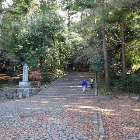 京都　法然院