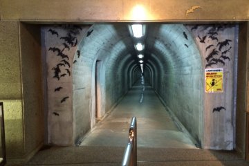 <p>Пещера начинается вглубине этого туннеля. Развешаны таблички: &quot;Внимание, летучие мыши&quot;. &nbsp;</p>