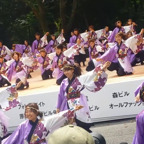 Lễ hội Yosakoi