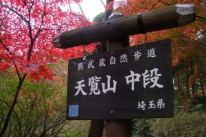 Signage and foliage