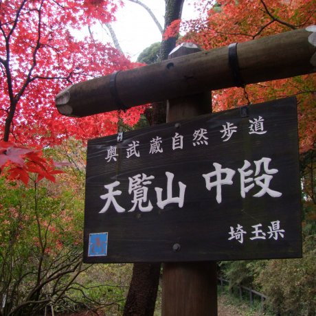 Гора Тэнран в Ханно, Сайтама