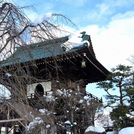 Khu vườn tuyết phủ ở chùa Shougen