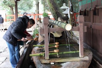 예로부터 엄수된 숲은 청수가 솟는 곳, 카모가와의 수원의 신지로 신앙되어 왔다. 지금도 여전히 그 숲 속 깊은 곳에서 더욱 풍요롭게 용수하고 있다. 미타라시=물로 손과 입을 깨끗이 하고 경내에 들어간다