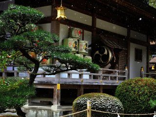 Sake barrels displayed along the outside corridor of the prayer hall are offerings from visitors!