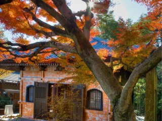 Toà nhà Kyozo vào mùa thu
