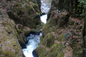 <p>The drop from the lower falls is much more significant but can&#39;t be seen easily from the trail on this side of the river</p>