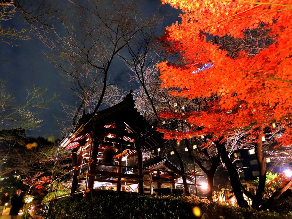 Tháp chuông và những chiếc lá đỏ được chiếu sáng vào buổi tối ở khu vườn Nhật của khách sạn Grand Prince Hotel New Takanawa