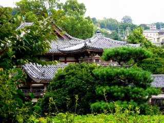 Byodo-in surrounded by the lush greens of May
