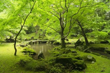 <p>ท่ากลางสวนยอดซามูไรสามแห่งของญี่ปุ่น</p>