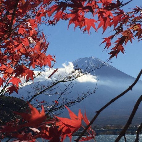 富士山とデート