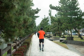 <p>Jogging or walking among the trees is an enjoyable activity</p>
