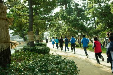 <p>Energetic students run beneath the trees</p>