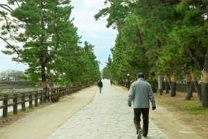 草加松原　松並木の遊歩道。