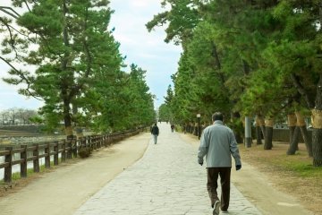<p>The pine tree-lined paths of Soka Matsubara</p>
