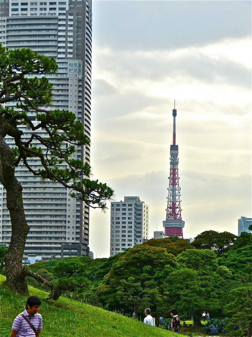 Tokyo Tower is not far from the garden.