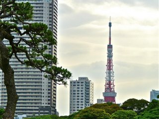 Tháp Tokyo cách khu vườn không xa.