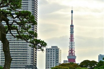 Tokyo Tower is not far from the garden.