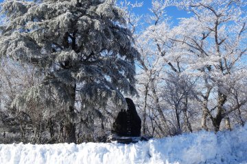Памятник горе Гомадан выглядывает из-за снега