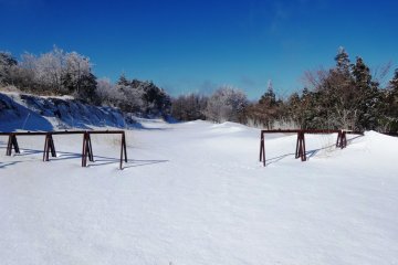Нетронутое поле снега