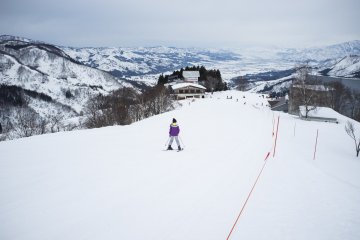 <p>Enthusiastic skiers going down the beginner&#39;s slope</p>
