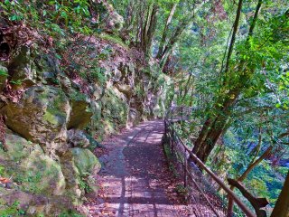 Except for the roaring sounds of the river, this narrow path hides much of the gorge which is only a few meters away