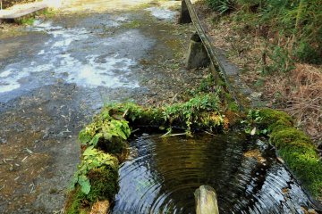 <p>A natural spring fountain, or mizuki, greets you. If you are thirsty, stop and have a drink!</p>