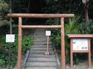 This is the start point. Through the torii and up the steps!