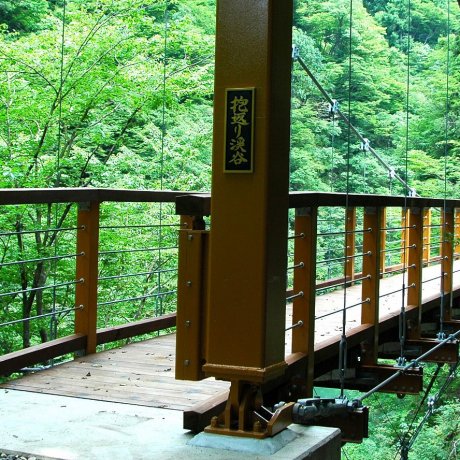 Discover Japan's Roots in Akita