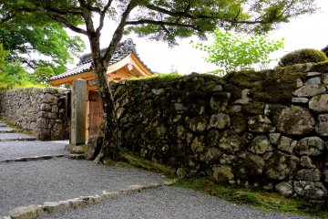 Mossy wall with a Japanese gate