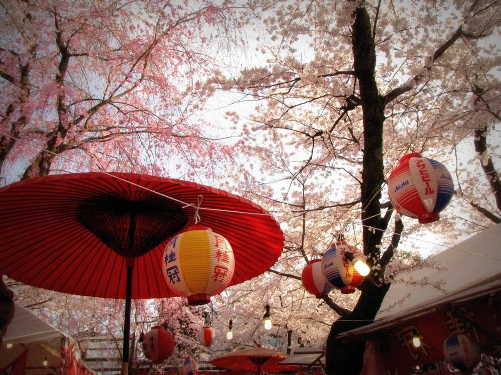 Comecemos com o Santuário Hirano; em abril parece que o santuário fica com um novo telhado feito de flores cor-de-rosa