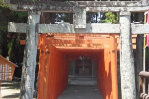Shrine indicated by red torii gates