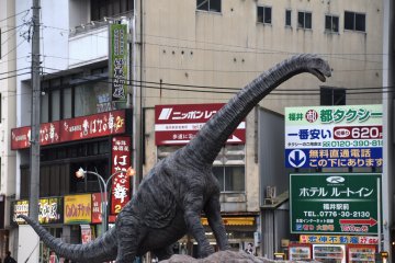 <p>A fossil of Fukui-titan was found in Katsuyama City in 2007. Its estimated body length is about 10 meters, and this replica is 6 meters high.</p>