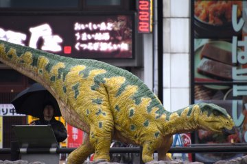<p>Fukui-saurus, also found in Katsuyama, is about 4.7 meters in body length, and this moving, howling replica is 2.65 meters high.</p>