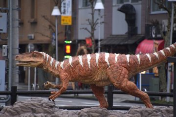<p>This is the real? Fukui-raptor, found in Katsuyama City has a body length of 4.2 meters. The replica is 2.5 meter high.</p>
